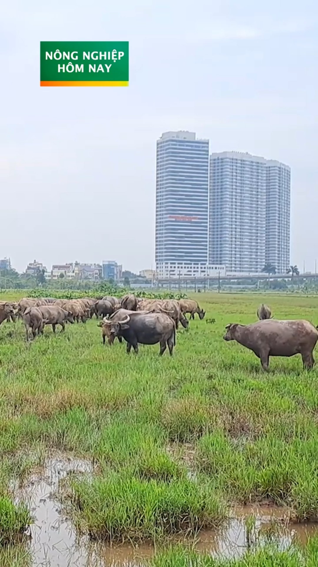 Kiểu này dễ vợ nợ lắm
